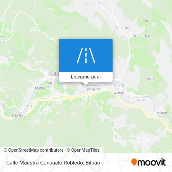 Mapa Calle Maestra Consuelo Robledo