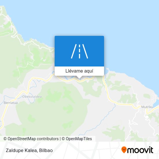 Mapa Zaldupe Kalea