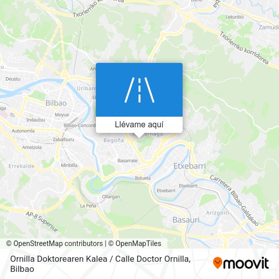 Mapa Ornilla Doktorearen Kalea / Calle Doctor Ornilla