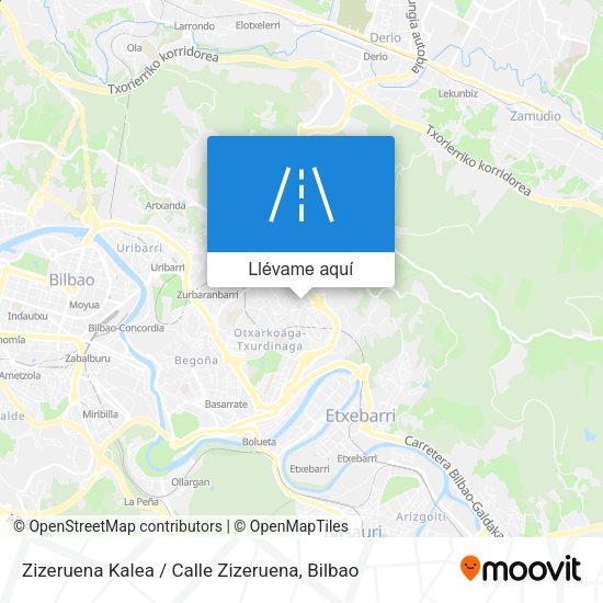 Mapa Zizeruena Kalea / Calle Zizeruena