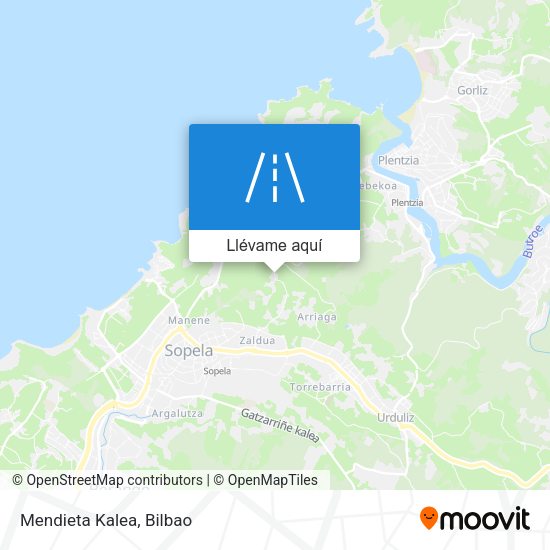 Mapa Mendieta Kalea