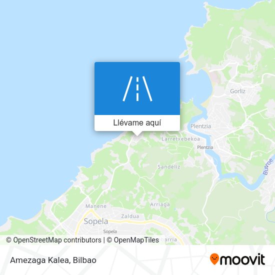 Mapa Amezaga Kalea