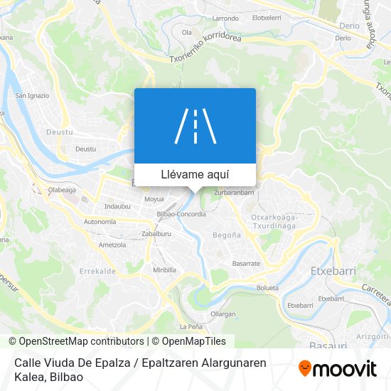 Mapa Calle Viuda De Epalza / Epaltzaren Alargunaren Kalea
