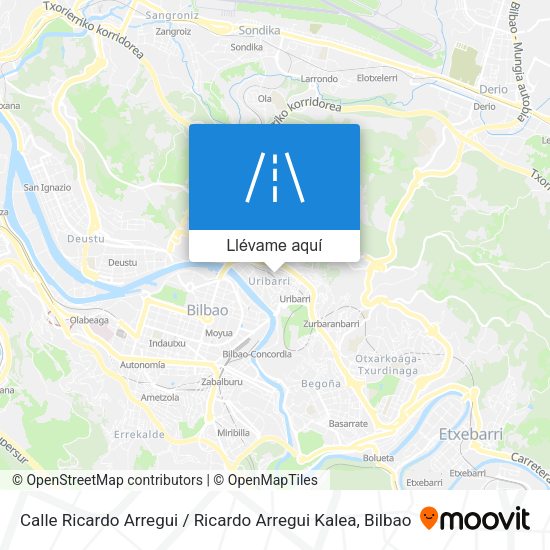 Mapa Calle Ricardo Arregui / Ricardo Arregui Kalea