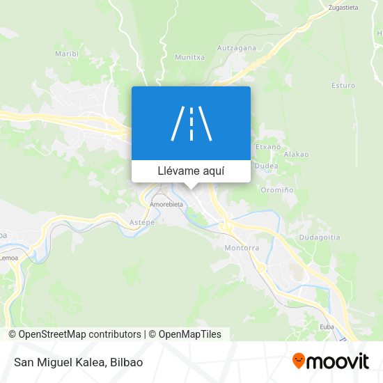 Mapa San Miguel Kalea