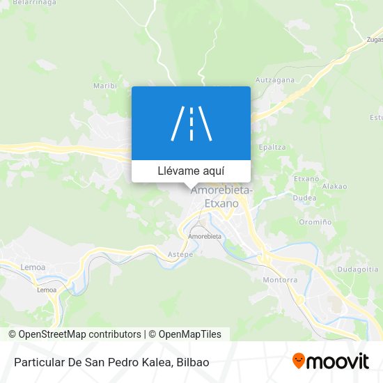 Mapa Particular De San Pedro Kalea