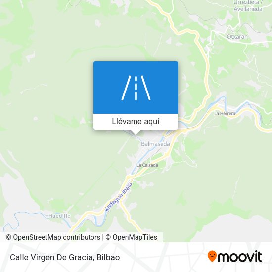 Mapa Calle Virgen De Gracia