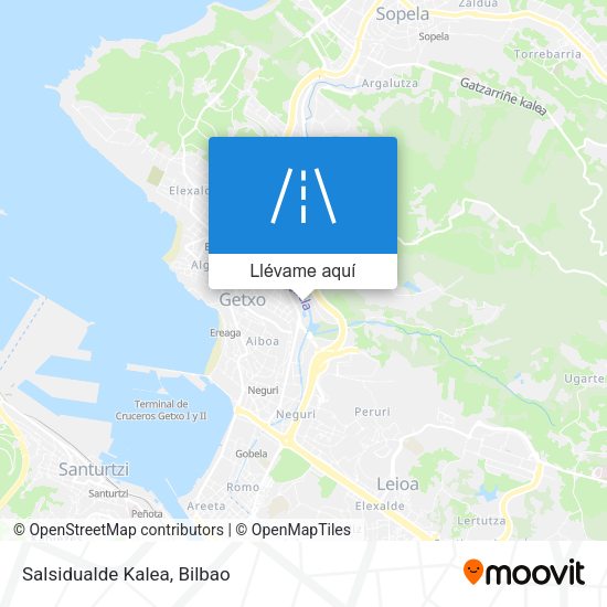 Mapa Salsidualde Kalea