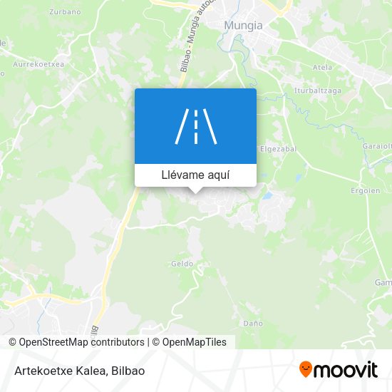 Mapa Artekoetxe Kalea