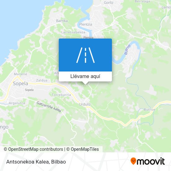 Mapa Antsonekoa Kalea