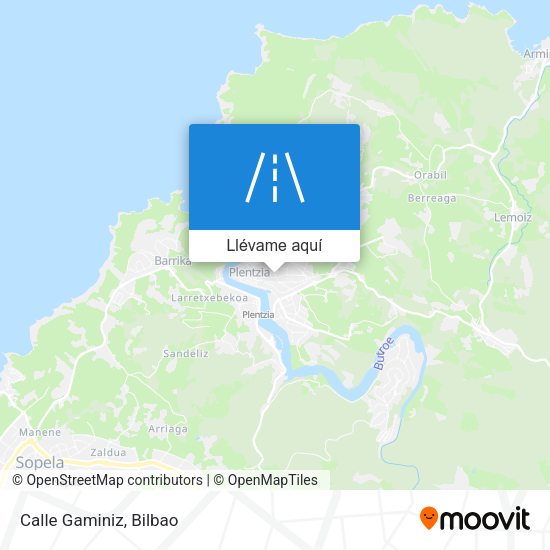 Mapa Calle Gaminiz