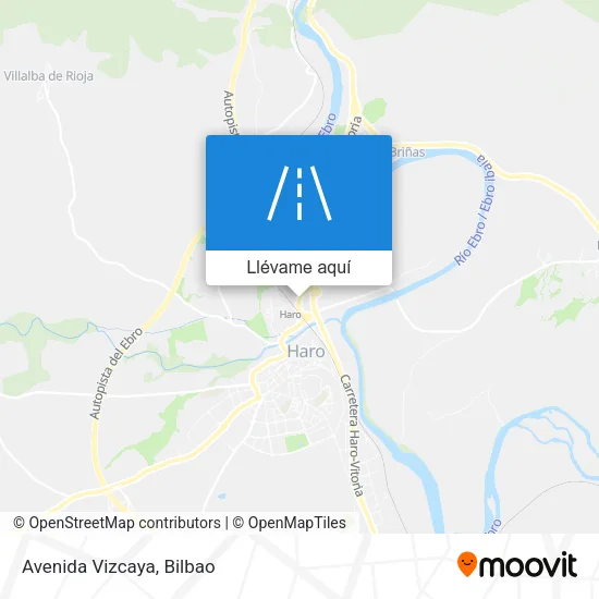Mapa Avenida Vizcaya