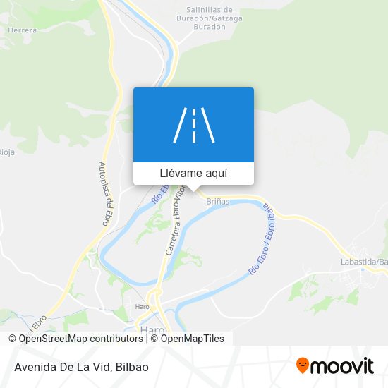 Mapa Avenida De La Vid