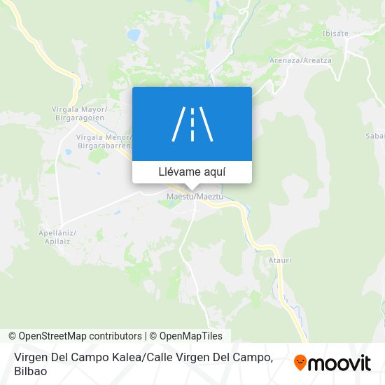 Mapa Virgen Del Campo Kalea / Calle Virgen Del Campo