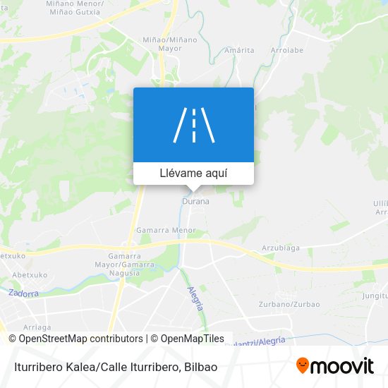 Mapa Iturribero Kalea / Calle Iturribero
