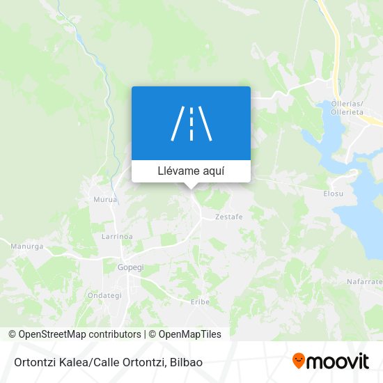 Mapa Ortontzi Kalea/Calle Ortontzi