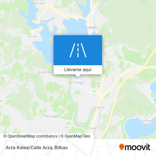 Mapa Arza Kalea/Calle Arza