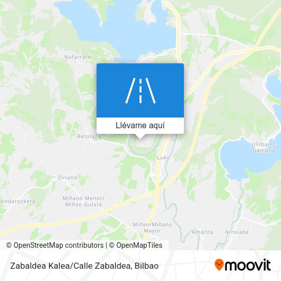 Mapa Zabaldea Kalea/Calle Zabaldea
