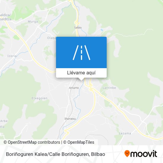 Mapa Boriñoguren Kalea / Calle Boriñoguren