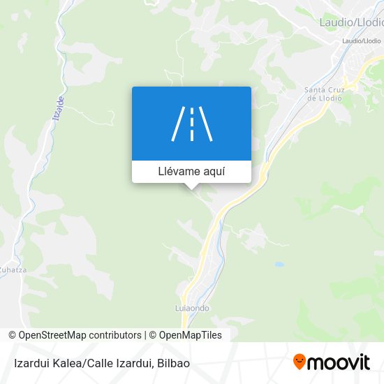 Mapa Izardui Kalea/Calle Izardui