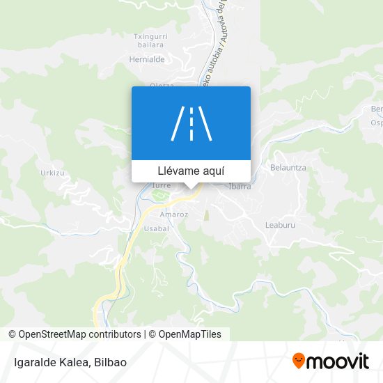 Mapa Igaralde Kalea