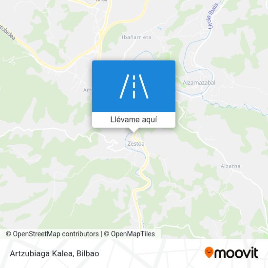 Mapa Artzubiaga Kalea