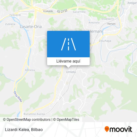 Mapa Lizardi Kalea