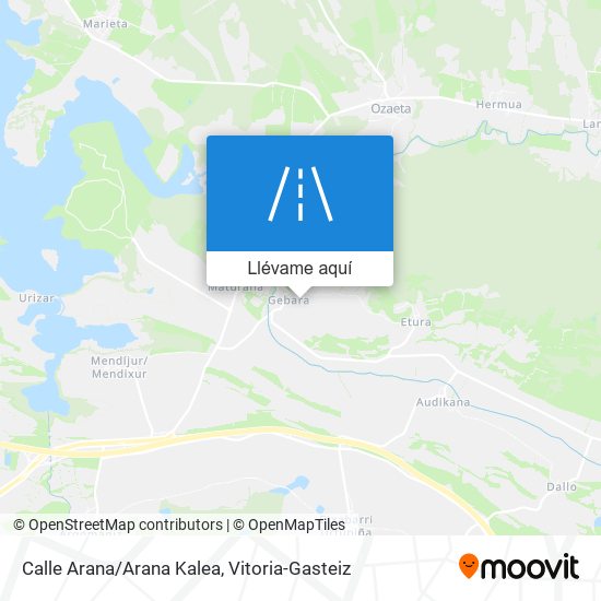 Mapa Calle Arana/Arana Kalea