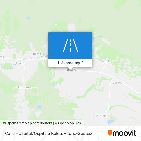 Mapa Calle Hospital/Ospitale Kalea