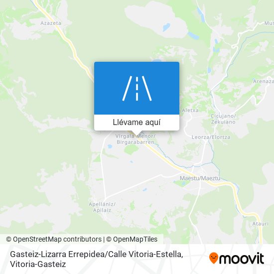 Mapa Gasteiz-Lizarra Errepidea / Calle Vitoria-Estella
