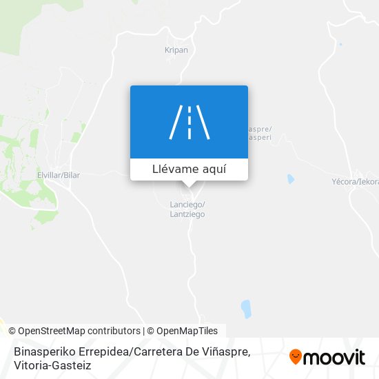 Mapa Binasperiko Errepidea / Carretera De Viñaspre