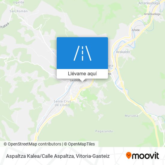 Mapa Aspaltza Kalea/Calle Aspaltza