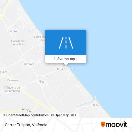 Mapa Carrer Tulipan