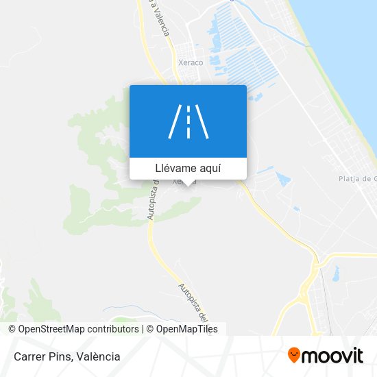 Mapa Carrer Pins