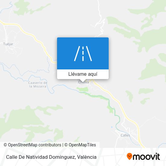 Mapa Calle De Natividad Domínguez