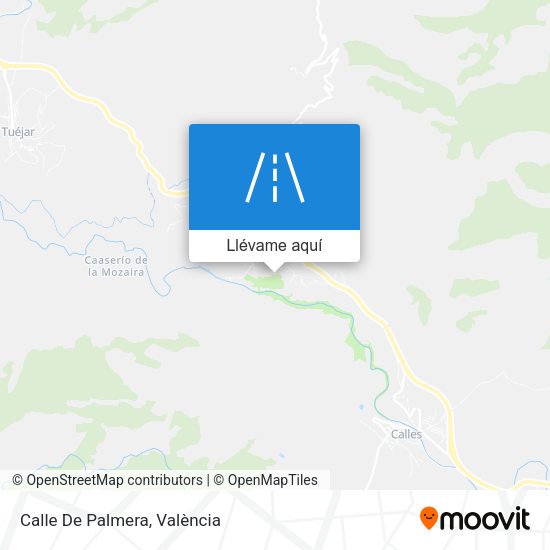 Mapa Calle De Palmera