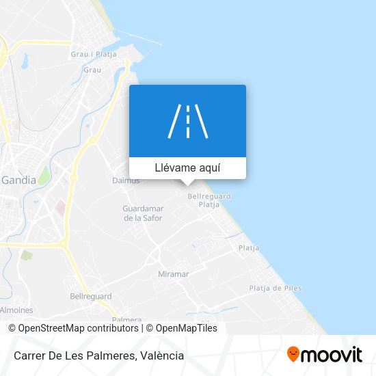 Mapa Carrer De Les Palmeres