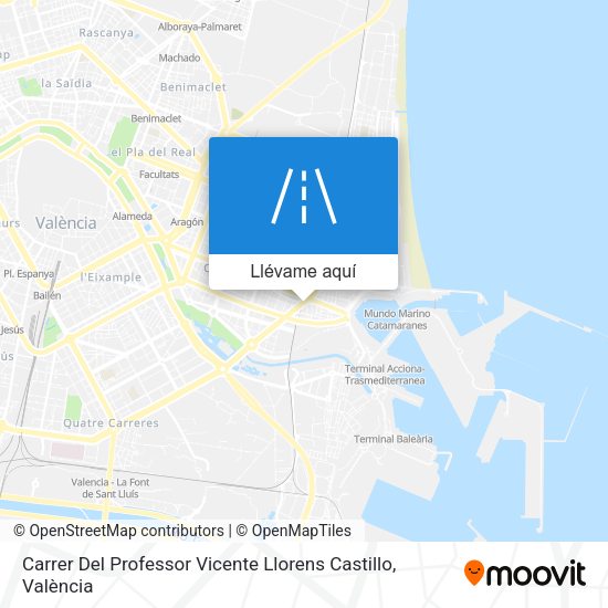 Mapa Carrer Del Professor Vicente Llorens Castillo