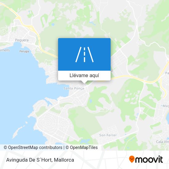 Mapa Avinguda De S´Hort