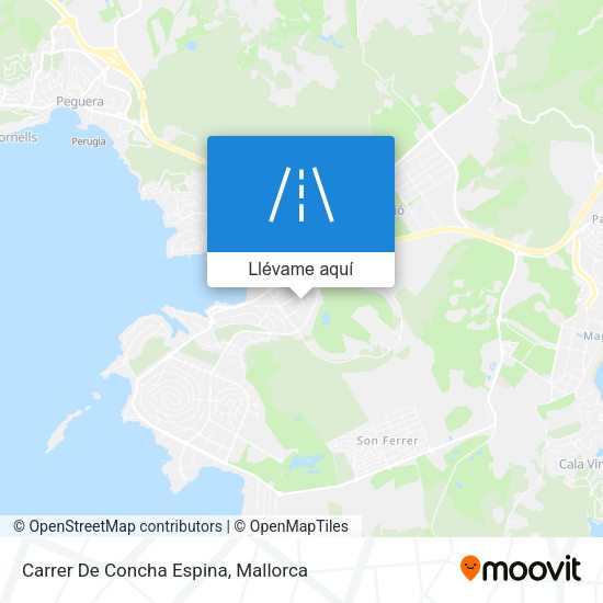 Mapa Carrer De Concha Espina