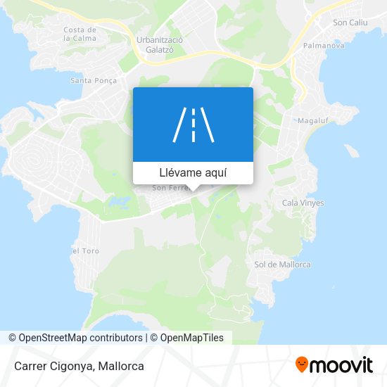 Mapa Carrer Cigonya