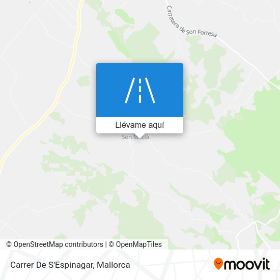 Mapa Carrer De S'Espinagar