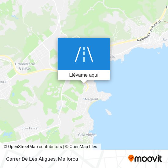 Mapa Carrer De Les Àligues