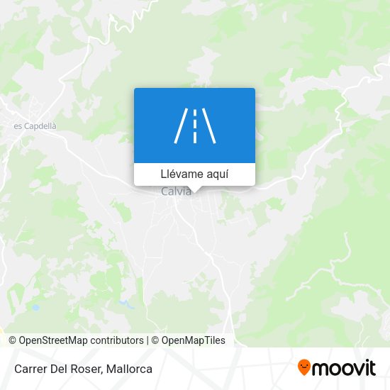 Mapa Carrer Del Roser