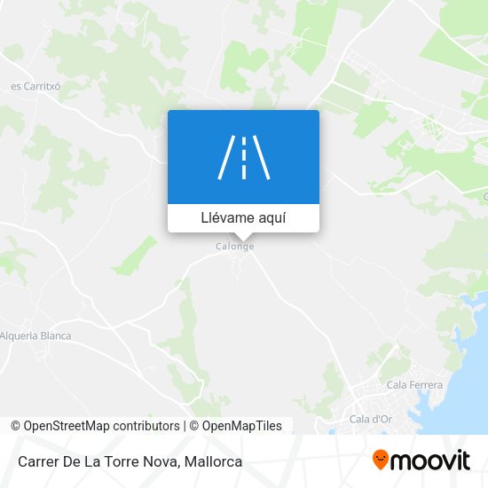 Mapa Carrer De La Torre Nova