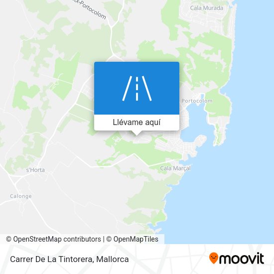Mapa Carrer De La Tintorera