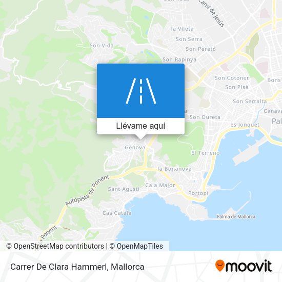 Mapa Carrer De Clara Hammerl