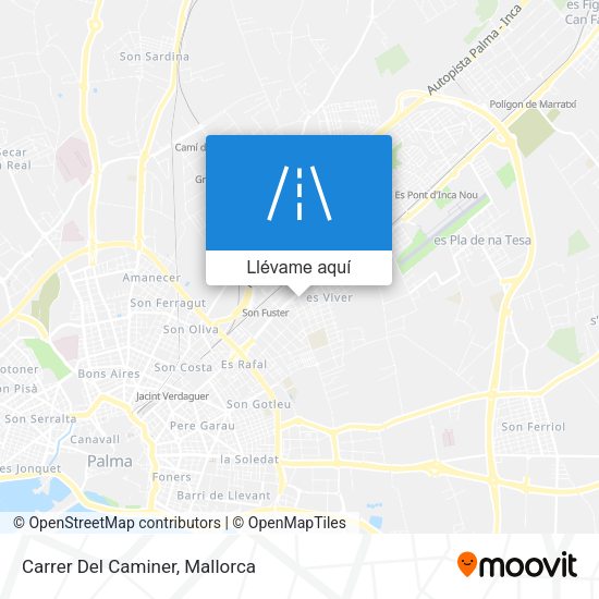 Mapa Carrer Del Caminer