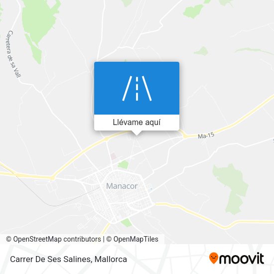 Mapa Carrer De Ses Salines