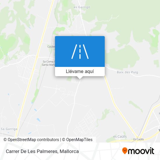 Mapa Carrer De Les Palmeres